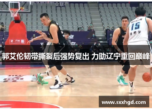 郭艾伦韧带撕裂后强势复出 力助辽宁重回巅峰