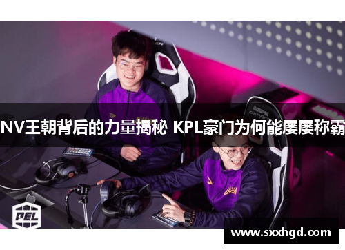 NV王朝背后的力量揭秘 KPL豪门为何能屡屡称霸