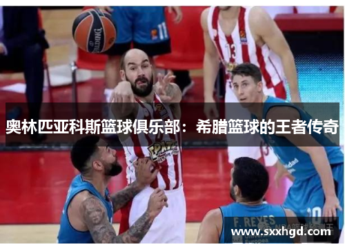 奥林匹亚科斯篮球俱乐部：希腊篮球的王者传奇