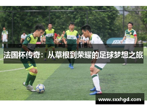 法国杯传奇：从草根到荣耀的足球梦想之旅